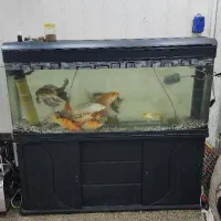 آکواریوم شیشه خم یک و نیم متری