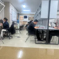 استخدام مشاور حرفه ای و مبتدی