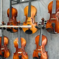 انتخابی برای شما /ویولن  حرفه ای