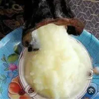 روغن گوسفند درجه یک یک به شرط