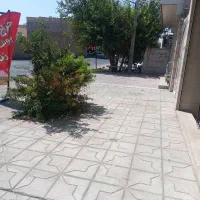 مغازه همکف ۲۵ متری مسکن خ صحرا ارغوان|اجارهٔ مغازه و غرفه|یزد, |دیوار