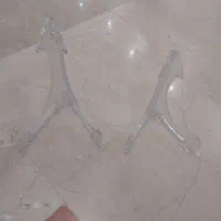 جای قاب