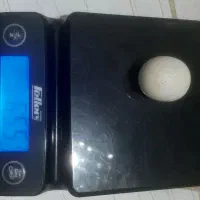 سنگ اسیاب