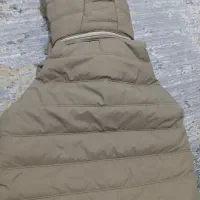 پافر|لباس|سنقر, |دیوار