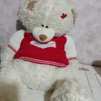 کادویی عروسک ماگ باکس گل ولنتاین