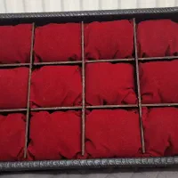 باکس نگهداری ۱۲ عددی ساعت مچی تمیز