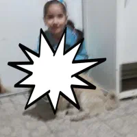 سگ پیدا شوده