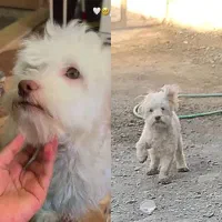 شهرک فرهنگیان