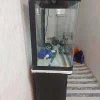 فروش اکواریوم با و سایل