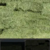 پرس یونجه درجه یک