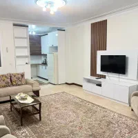 ۶۵ متر/تکخواب/نقلی/قلب دریان نو