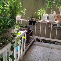 گل با گلدان با قیمت فوق العاده پایین