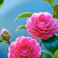 115-متر-خوش-نقشه-فول