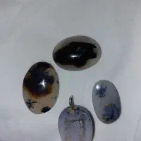 چهار عدد شجر عقیق سلیمانی