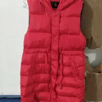 پافر خوش رنگ