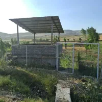باغچه 500 متر سند تک برگ