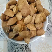 بادام سنگی تازه و نیمه کاغذی ارگانیک|خوردنی و آشامیدنی|جم, |دیوار