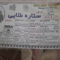 فرش ۱۲ متری|فرش|قائمشهر, |دیوار