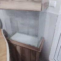 آکواریوم