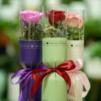 باکس گل ، بوکت گل رز،داوودی دسته ای گیاه آپارتمانی