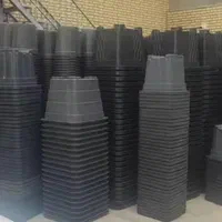 گلدان گلخانه ای نشا ارزان عمده اینترنتی|گل و گیاه طبیعی|رشت, بلوار گیلان|دیوار