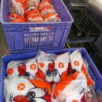 پخش مرغ رتبه A پلاس سمین(نماینده رسمی)