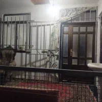 ویلانقلی-سنددار-ویوابدی-مزارع-و-جنگل-های-شمال