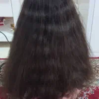 خریدار اصلی بدون واسطه کوتاهی در محل شما