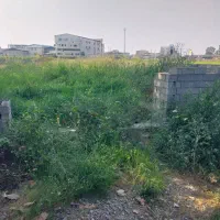 فروش فوری زمین  باغی|فروش زمین و ملک کلنگی|دابودشت, |دیوار
