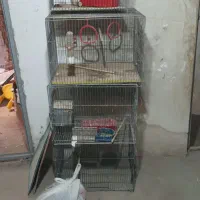 فروش ۲ عدد قفس پرنده (به صورت تکی هم امکان پذیره)
