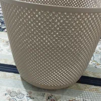 سبدرخت لباس