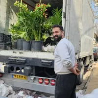 تخفیف ۵۰٪  درصدی به مناسبت روز دختر