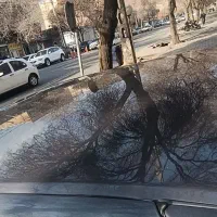 پژو405مدل 93|خودرو سواری و وانت|تبریز, |دیوار