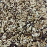 مغز گردوی سفید|خوردنی و آشامیدنی|نوبران, |دیوار