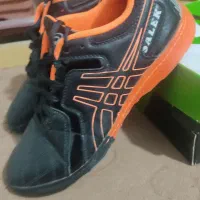 دو جفت کفش ، سالن ، چمن