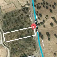 معاوضه باغ ثمری با خانه