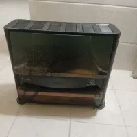 بخاری در حد نو