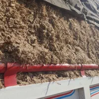 کاه نیشکر|حیوانات مزرعه|ملایر, |دیوار