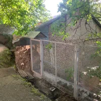 ۵۰۰ متر زمین با ۲۵۰ متر بنا کلنگی