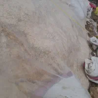 کاه|عمدهفروشی|فراشبند, |دیوار