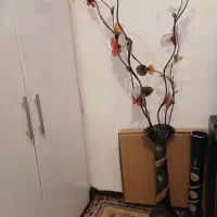 همه درحد نو