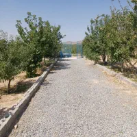 خونه باغ زمین کشاورزی بافنس|فروش دفتر صنعتی، کشاورزی، تجاری|شهرکرد, |دیوار
