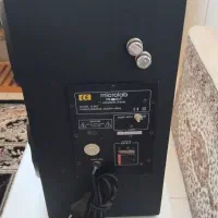 اسپیکر پایونر|سیستم صوتی خانگی|شاهینشهر, گرگاب|دیوار