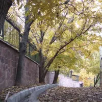 1350-مترباغ-با80-متر-بنای-قدیمی-روح-افزا