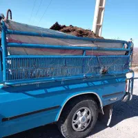 کود حیوانی وگاوی|گل و گیاه طبیعی|پاتاوه, |دیوار