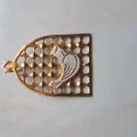 پلاک طلای نو نو