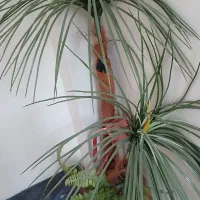 درختچه مصنوعی فروشی|گل مصنوعی|قدس, شهر‌قدس|دیوار