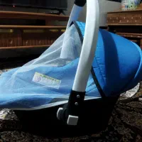 کریر|کالسکه و لوازم جانبی|مریوان, |دیوار