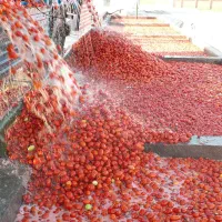 رب ممتاز عمده