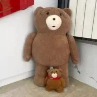 فروش و تعمیرات پکیج و رادیات|آبگرمکن، پکیج، شوفاژ|رودهن, |دیوار